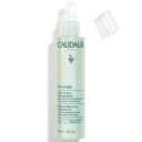 Caudalie Vinoclean leo Desmaquilhante