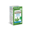 Arkocpsulas Cannabis Sativa