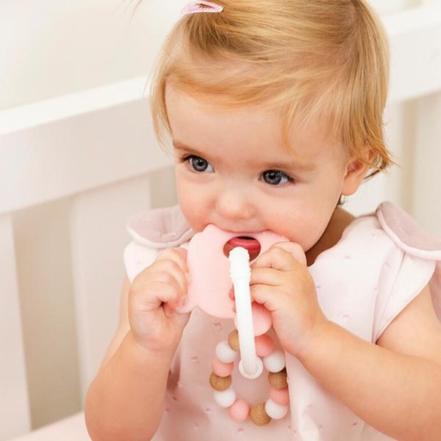 Nattou Roca Silicone Rato Rosa Bolinhas