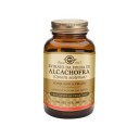 Solgar Alcachofra 300mg X 60 c�psulas vegetais