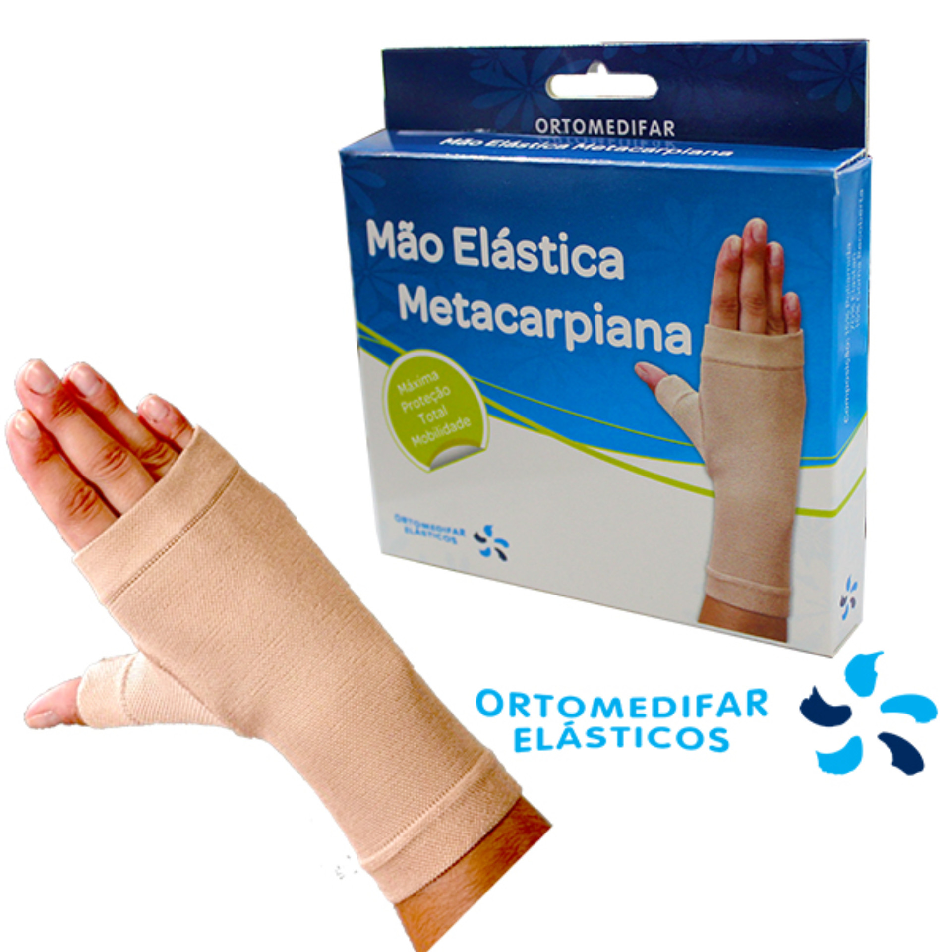 Mo Elstica Metacarpiana