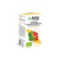 Arkocpsulas Uva-Ursina - 45 Cpsulas
