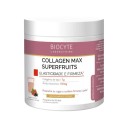 Biocyte Collagen Max Superfruits P