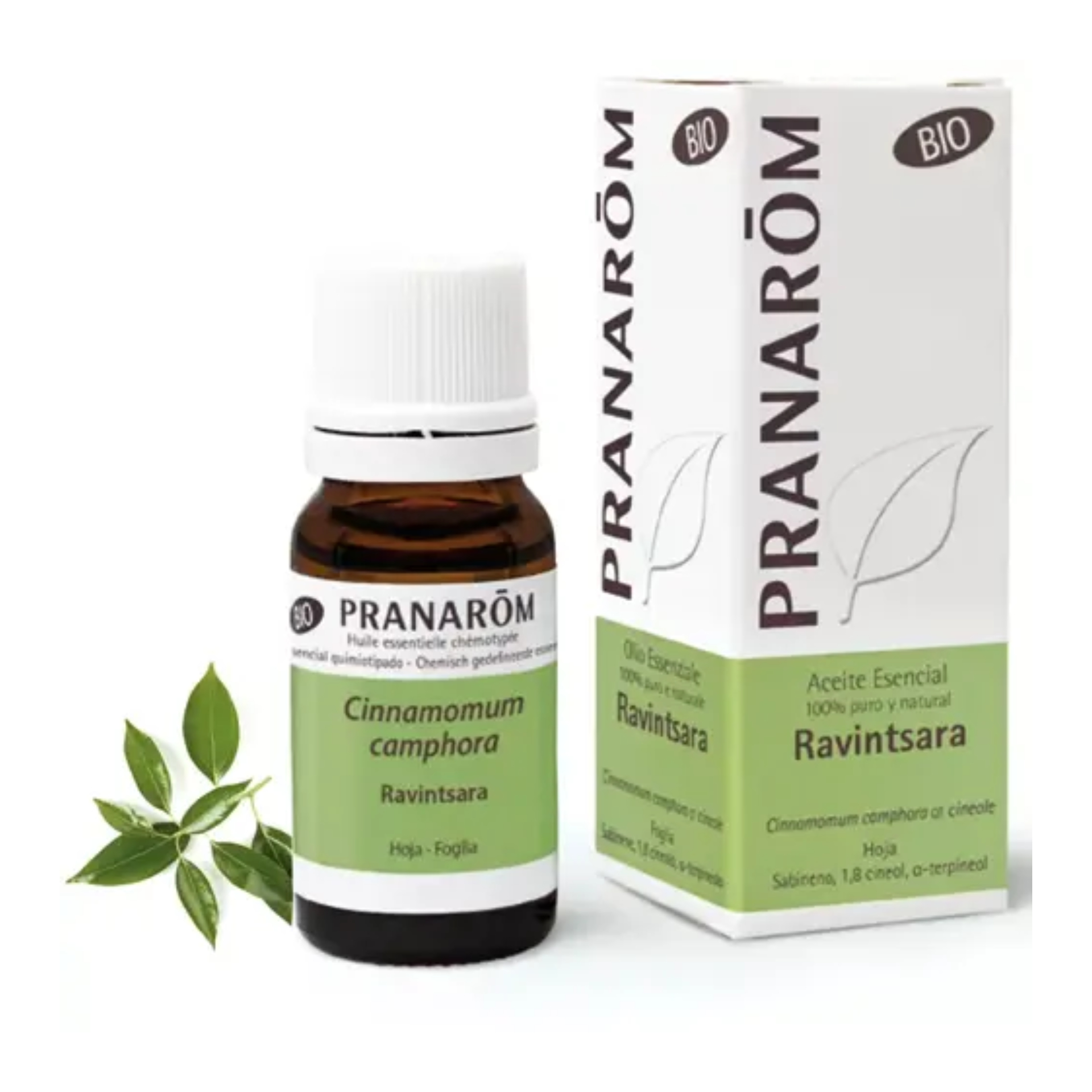 Pranarm leo Essencial Ravintsara