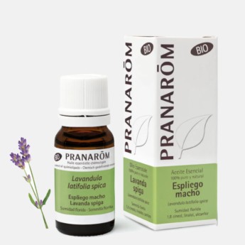 Pranarm leo Essencial Lavanda Macho (Latifolia)