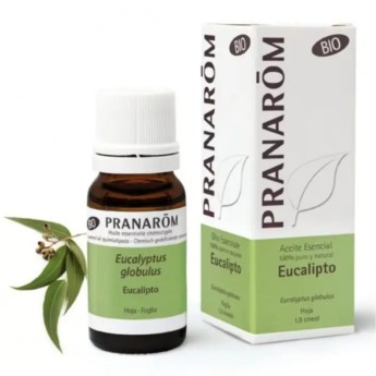 Pranarm leo Essencial Eucalipto
