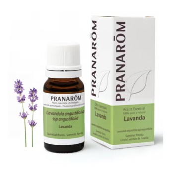 Pranarm leo Essencial Lavanda