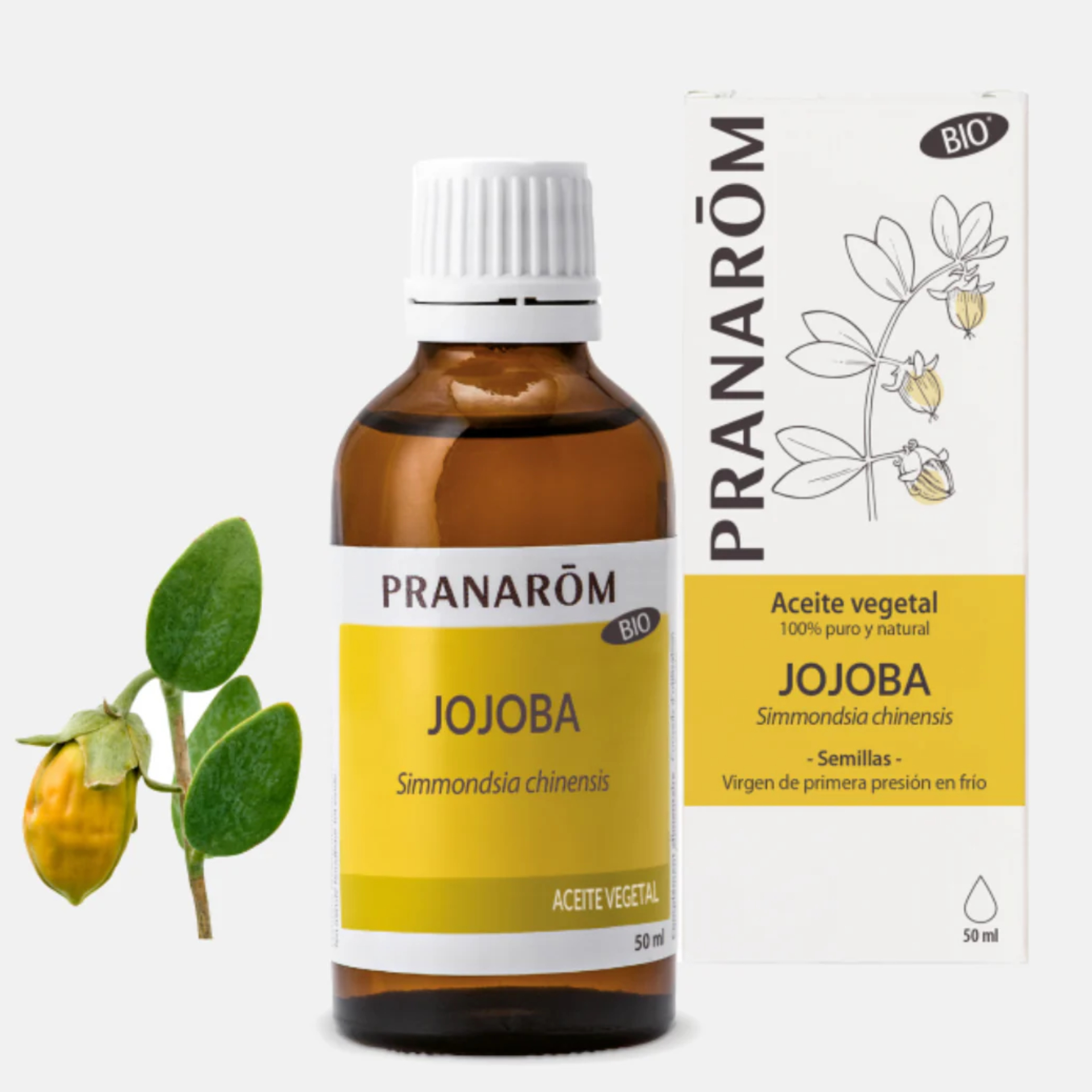 Pranarm leo Vegetal Jojoba
