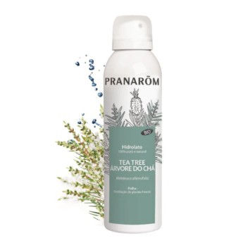 Pranarm Hidrolato rvore do Ch Melaleuca Alternifolia