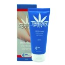 Desvelt Canabicreme Creme Cannabis